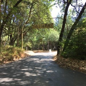 Meet your Posher, Mackenzie